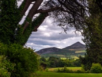 Powerscourt House & Gardens